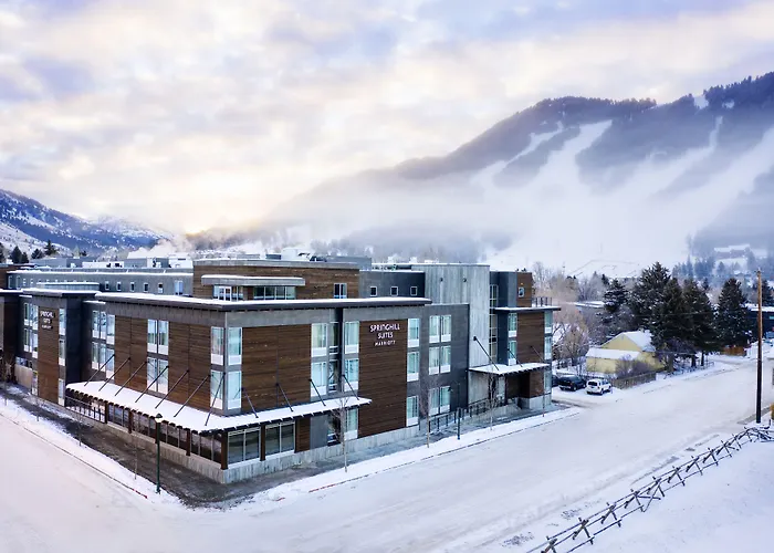 Hotel Springhill By Marriott Hole 3*