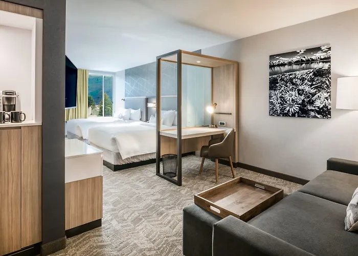 Springhill By Marriott Hole