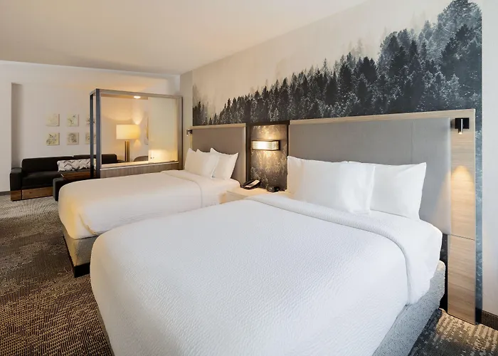Springhill By Marriott Hole 3* Jackson