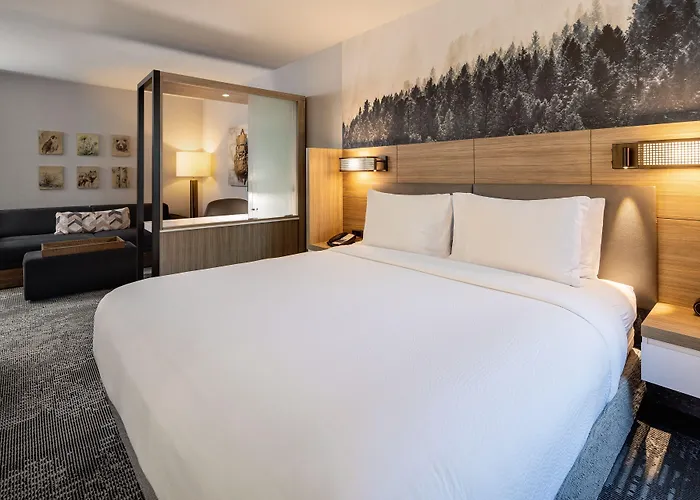 Springhill By Marriott Hole Hotel 3*