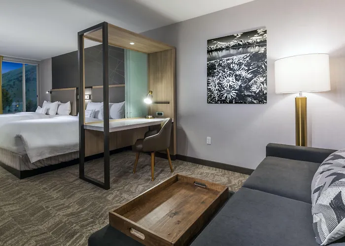 Springhill By Marriott Hole Jackson